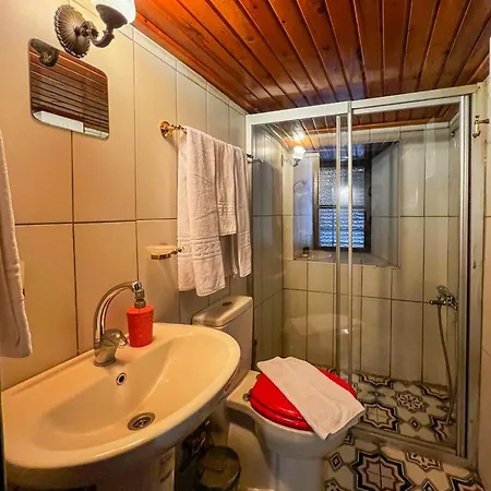 אכסניה Old House Hotel&pub אנטליה